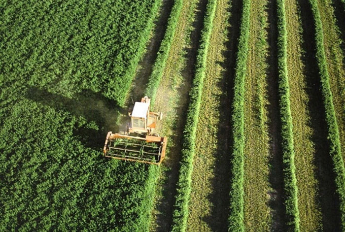 Ingeniería Técnica Agrícola